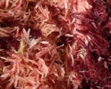 ગાજર બીટ હલવો (Carrot Beet Halwo Recipe in Gujarati) રેસીપી સ્ટેપ1ફોટો
