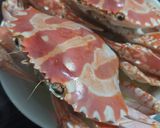 A picture of step 4 of Chiu Chow Cold Crab 潮州凍蟹.
