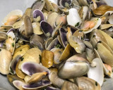 Foto del paso 4 de la receta: Coquinas al ajillo