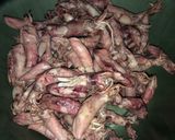 Foto langkah ke 1 dari resep Cumi Cabe Ijo || Sambal Baby Cumi || Cumi Balado || Sambal Cumi Wangi Rempah.