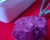 Blueberry Frozen Yoghurt recipe step 4 photo