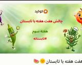 عکس مرحله 1 از دستور مرغ محلی