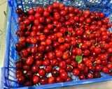 Une image de l'étape 1 de Far aux cerises du jardin.