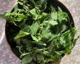 3- Minute Nettle & Walnut Pesto #vegan recipe step 1 photo