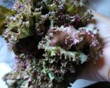 Foto langkah ke 1 dari resep Tumis selada merah dan kentang.