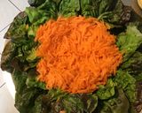 Une image de l'étape 8 de Salade de concombre aux carottes râpées,laitue rouge et mozzarella di buffala.
