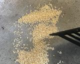 Gambar langkah 9 resipi Daun Mulberi celup tepung bersama chilli oil.