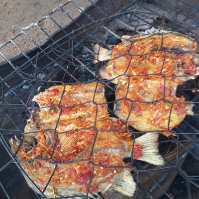 Langkah 5
