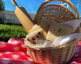 Foto del paso 21 de la receta: Ciabatta