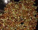 ચાટ પૂરી (Chaat Poori Recipe In Gujarati) રેસીપી સ્ટેપ1ફોટો
