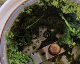 Mint coriander rice recipe step 1 photo
