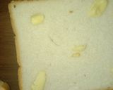 ટોસ્ટ સેન્ડવીચ(Toast Sandwich Recipe In Gujarati) રેસીપી સ્ટેપ5ફોટો