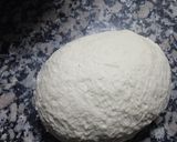 Foto del paso 1 de la receta: Pizza Casera
