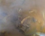 A picture of step 2 of Bitterleaf soup.
