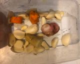 Foto langkah ke 1 dari resep Ayam Ungkep.