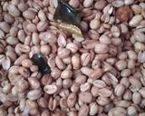 Foto langkah ke 5 dari resep Kacang Goreng.