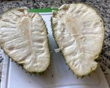 Foto del paso 1 de la receta: Mousse de guanábana