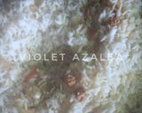 Foto langkah ke 8 dari resep Khao Pad Tom Yum Gai (ข้าวผัดต้มยำไก่) ala Violet Azalea.