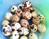 Foto langkah ke 1 dari resep Sate Telur Puyuh Coklat.
