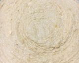 Foto del paso 5 de la receta: Bizcochuelo de 🍌 banana 🍌🍌 y 🥥 coco 🥥 🥥