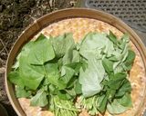Foto langkah ke 1 dari resep Bobor Lempuyangan (Daun Kacang Panjang).
