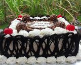 Foto langkah ke 10 dari resep Cake Ultah Pagar #Sponge Coklat Base Cake#Gampang#Cepet#Juara.