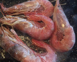 Foto del paso 1 de la receta: Fideuá mixta de conejo y gambón