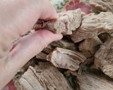 Foto del paso 5 de la receta: Carne de res deshebrada. Receta básica
