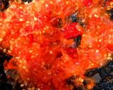 Foto langkah ke 3 dari resep Sambal Kemangi.