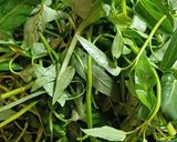 Hình bước làm 1 của món Rau muống xào tóp mỡ