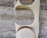 Foto del paso 3 de la receta: Panes Criollitos