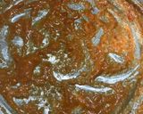 બ્રેડ લઝનિયા (Bread Lasagna Recipe In Gujarati) રેસીપી સ્ટેપ6ફોટો