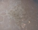 Foto del paso 1 de la receta: Arroz con salteado de hongos (vegano)