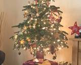 Edible ginger bread Christmas decorations recipe step 9 photo