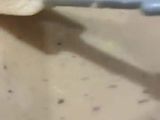 شوربة كشك ببطاطا