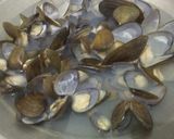 Foto langkah ke 1 dari resep Kerang air tawar bumbu balado pedas.