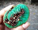 Foto langkah ke 4 dari resep Martabak Manis a.k.a Terang Bulan.