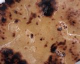 A picture of step 3 of Sarson ka Saag with Besan ki Roti.