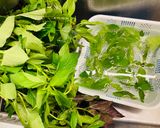 Hình bước làm 9 của món Bún khèn Phú Quốc (bún kèn) siêu dễ lại siêu ngon!