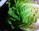 Foto del paso 2 de la receta: Zapallo al horno 🍠🥬