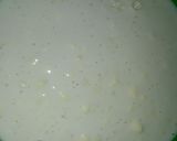 Foto del paso 1 de la receta: Stollen o Christstollen
