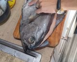 Foto del paso 2 de la receta: Reineta