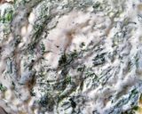 Une image de l'étape 4 de Coquillettes aux épinards gratinés.