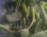 Foto langkah ke 1 dari resep 275) Tumis Kangkung Ala Manado.