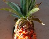 Une image de l'étape 4 de Verrines façon piña colada (ananas, coco, citron vert).