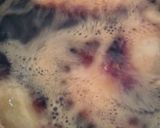 Foto del paso 3 de la receta: Empanadas con masa casera
