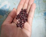 Foto del paso 1 de la receta: [anko] o pasta dulce de porotos rojos 💜