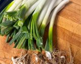 Foto del paso 5 de la receta: Calçots al horno