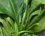 पालक सूप (palak soup recipe in Hindi) रेसिपी चरण 1 फोटो