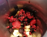 Foto del paso 1 de la receta: 315. Helado de frutos del bosque vegano / Thermomix